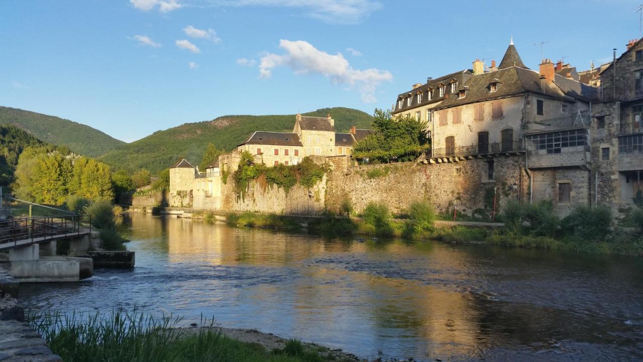 Chateau Ricard Saint-Geniez-dʼOlt Esterno foto