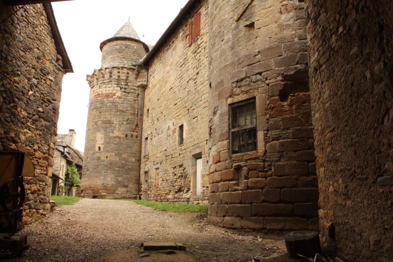 Chateau Ricard Saint-Geniez-dʼOlt Esterno foto
